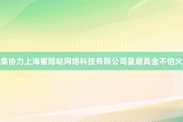 集协力上海蜜陆哒网络科技有限公司量磨真金不怕火